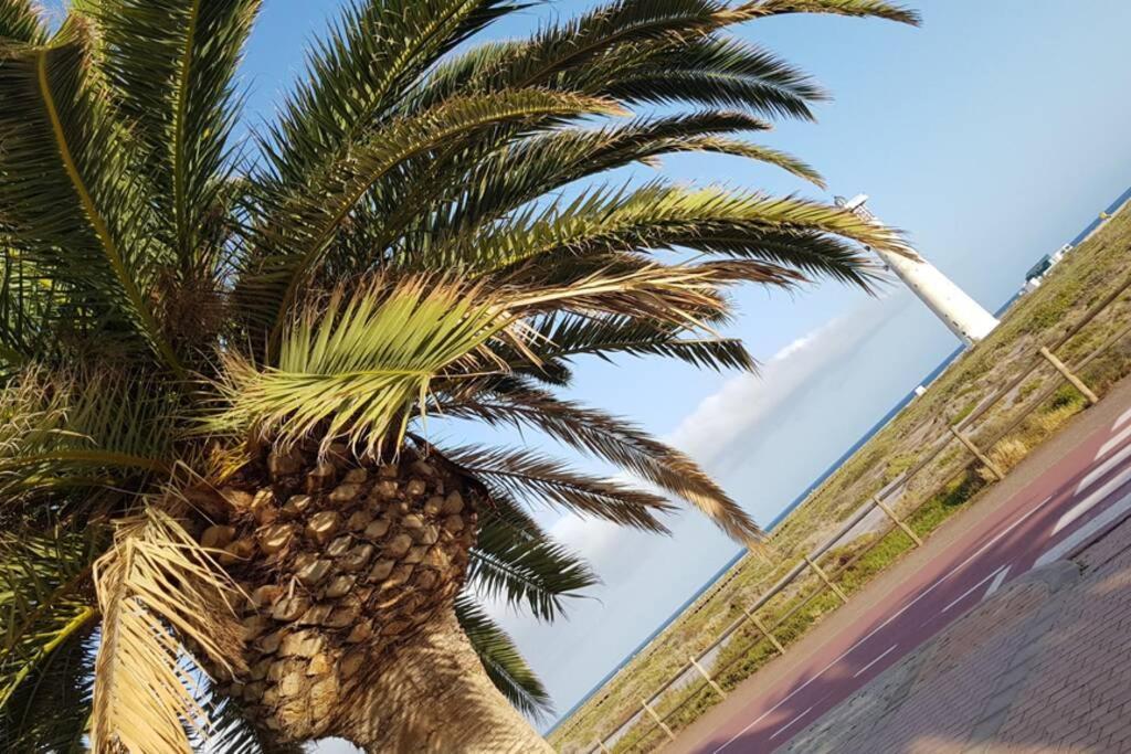 Front Beach Jandia Apartment Morro Jable  Dış mekan fotoğraf